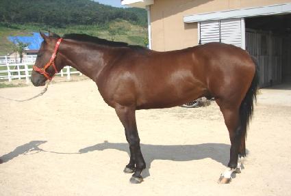 õ���� ����