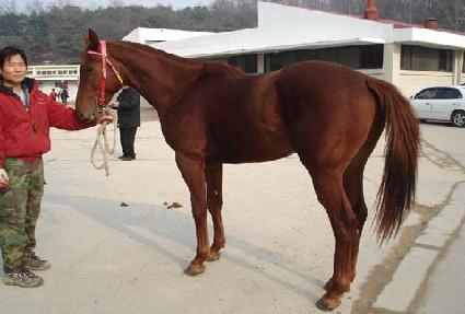 �������� ����