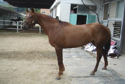 ��ٵ�� ����