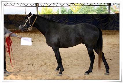 õ����� ����