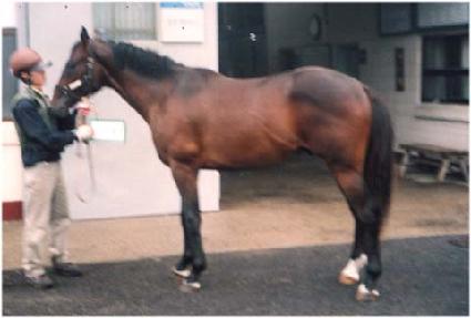 ���θ� ����