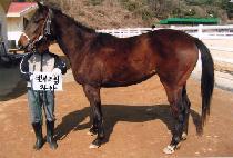 ��ũŸ�̰� (PINK TIGER) ����