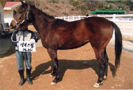 ��ũŸ�̰� ����