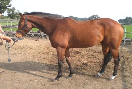 ����õ�� ����