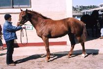 ������ (EUNJEOKBONG) ����