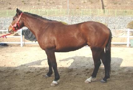 �ݻ�� ����