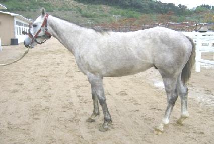 �ǹ�ŷ ����