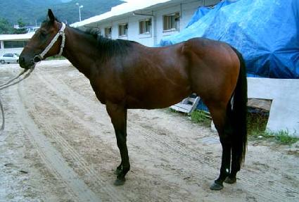 ŸŬ��ĭ ����