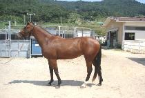 �����÷��� (SUPER PLUS) ����