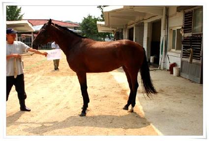 �ٹ��� ����