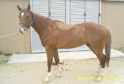 ��ǳ���� ����