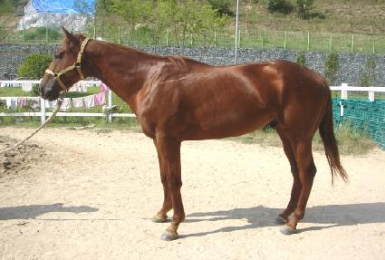 ������ ����