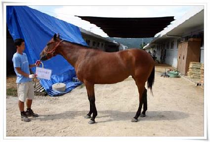 ���Ϸ�Ʈ�÷� ����