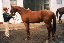 ���¹� (GANGNYEOKBAN) ����