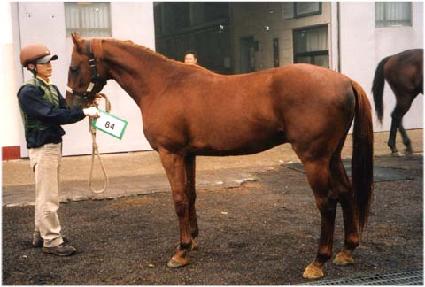 ���¹� ����