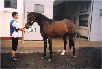 Ʈ���̺���Ʈ ����