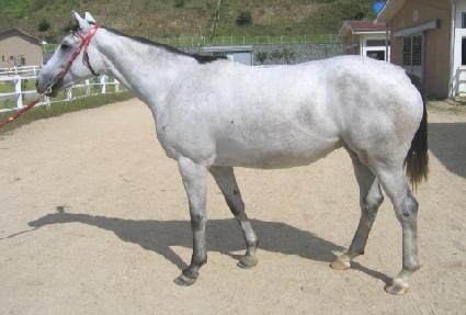 �׷��̾�� ����