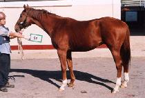 �������� (EOJINNURI) ����