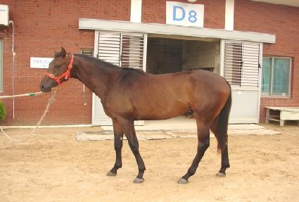 �������� ����