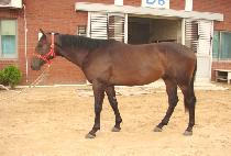 ��õ��� (SAECHEONNYEON KKUM) ����