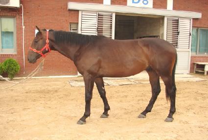 ��õ��� ����