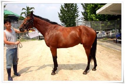 ������� ����