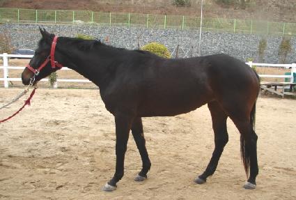 ������ ����