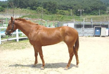 ��ü���� ����