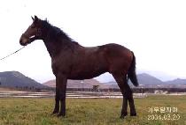 �������º� (TTEOOREUNEUN BYEOL) ����