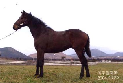 �������º� ����