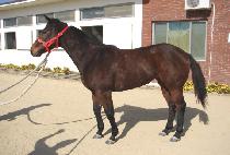 ����ź�� (MYEONGMUN TANSAENG) ����