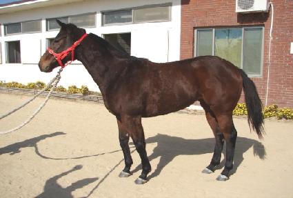 ����ź�� ����