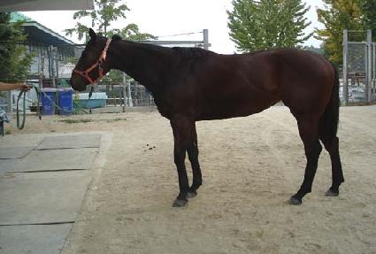 ����� ����