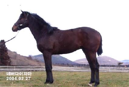 ����Ÿ�̰� ����