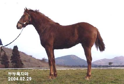 ž�۶��̵� ����