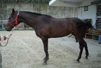 �������� (HEUNGIJEOLLO) ����