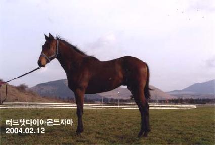 ����� ����