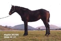 �׸����� (GREEN LOVE) ����