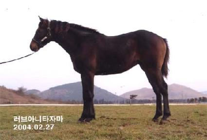 �׸����� ����