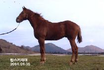 ���������� (JIGUSANGWIRYEOK) ����