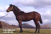 �������̴� (EASY RIDER) ����