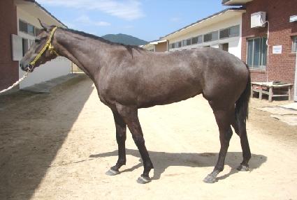 �������� ����