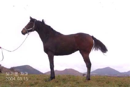 �ں�� ����