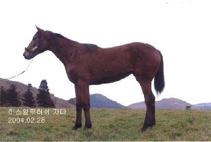 ���ֺ��� ����