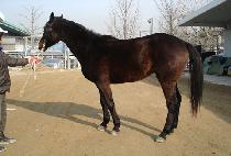 �޺��� (KKUMBORA) ����