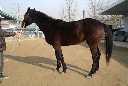 �޺��� ����