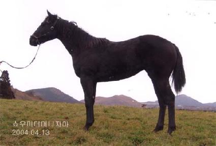 ������ ����