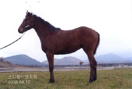 Ȳ�ݼ��� ����