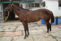 ��������� (EVER SPECIAL) ����