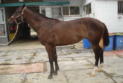 ��������� ����